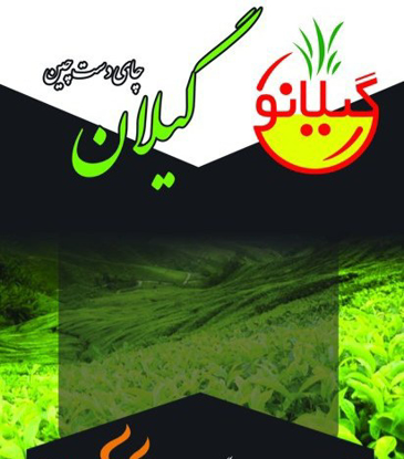 تصویر از چای ۱ کیلوی سرگل بهاره لاهیجان ایرانی اصل گیلانو ( محصول ۱۴۰۴)